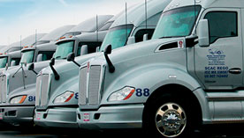 Estética Automotriz